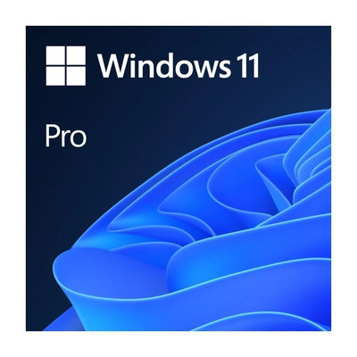 Windows 11&nbsp;Pro 64-bit SK -&nbsp;USB (HAV-00161)