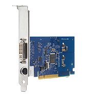 Grafická karta NVIDIA Quadro NVS 290 256MB PCIe (GN502AA)