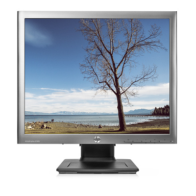 HP EliteDisplay E190i (E4U30AA)