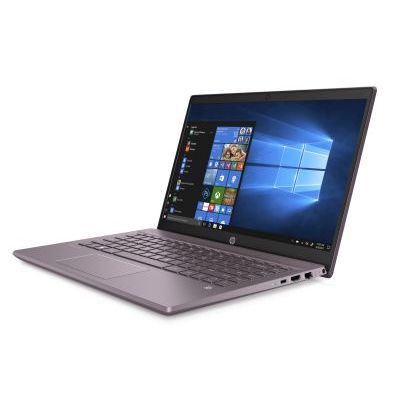 HP Pavilion 14-ce2004nc (6WH67EA)