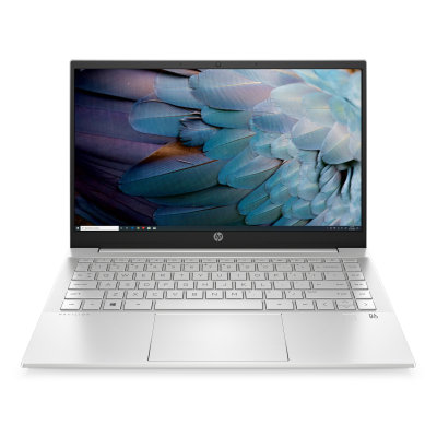 HP Pavilion 14-dv0004nc (31F91EA)