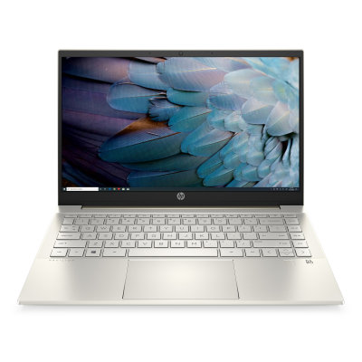 HP Pavilion 14-dv0001nc (31F87EA)