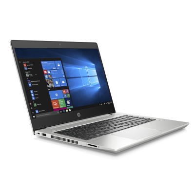 HP ProBook 445 G6 (6MR47ES)