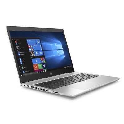 HP ProBook 450 G6 (6HL96EA)
