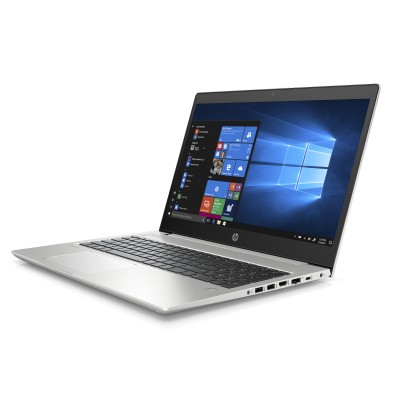 HP ProBook 455 G6 (6MR46ES)