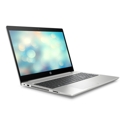 HP ProBook 450 G7 (1F3H4EA)