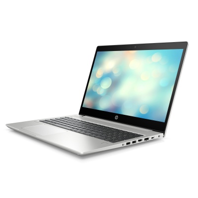 HP ProBook 450 G7 (1F3H4EA)