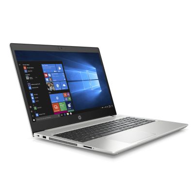 HP ProBook 455 G7 (12X18EA)