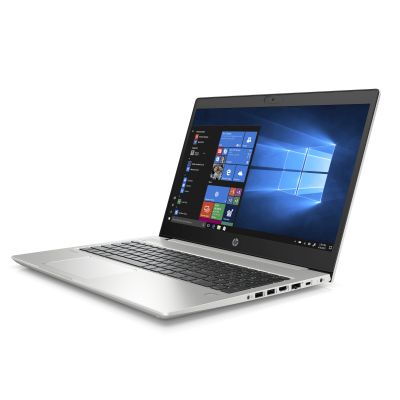HP ProBook 455 G7 (12X17EA)