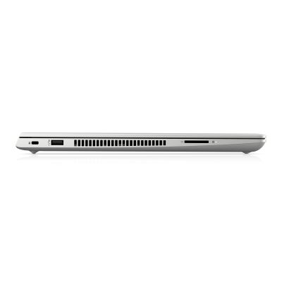 HP ProBook 455 G7 (12X17EA)