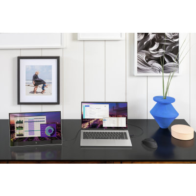 HP E14 G4 Portable Monitor
