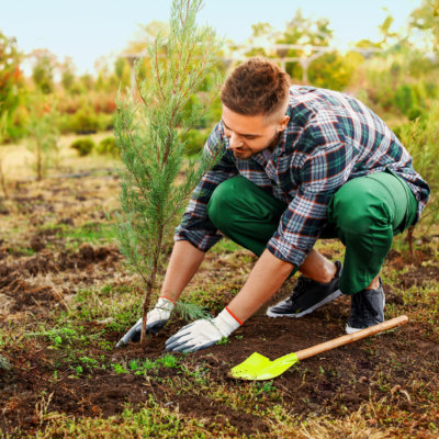 Atramentová náplň EvoMore