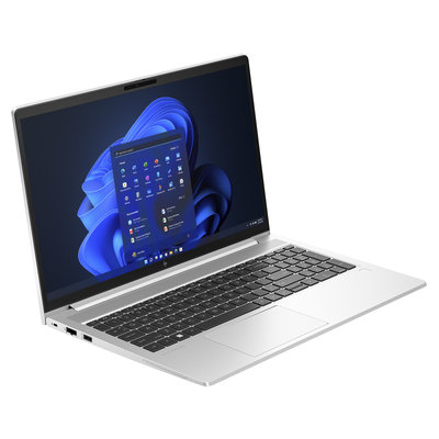 HP EliteBook 650 G10 (817W4EA)