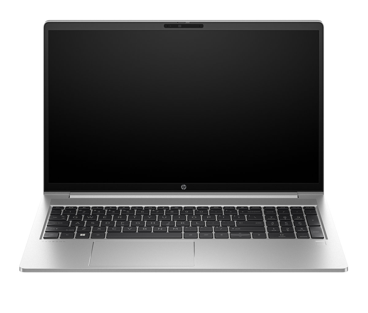 HP ProBook 450 G10 (817S9EA)