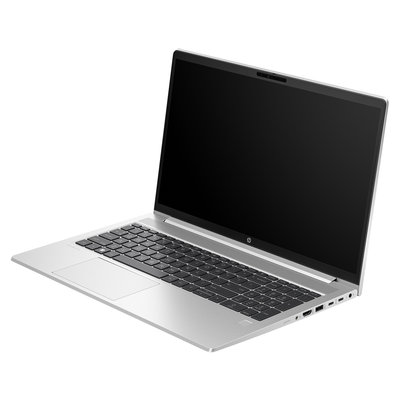 HP ProBook 450 G10 (817S9EA)