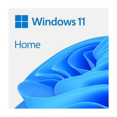 Windows 11 Home 64-bit SK - USB (HAJ-00100)