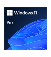 Windows 11 Pro 64-bit CZ - USB (HAV-00178)