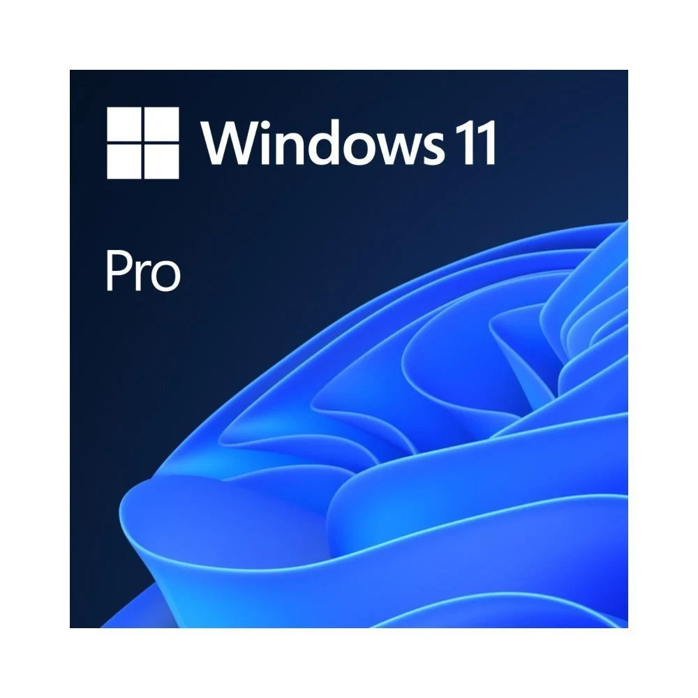 Windows 11 Pro 64-bit SK - USB (HAV-00161)