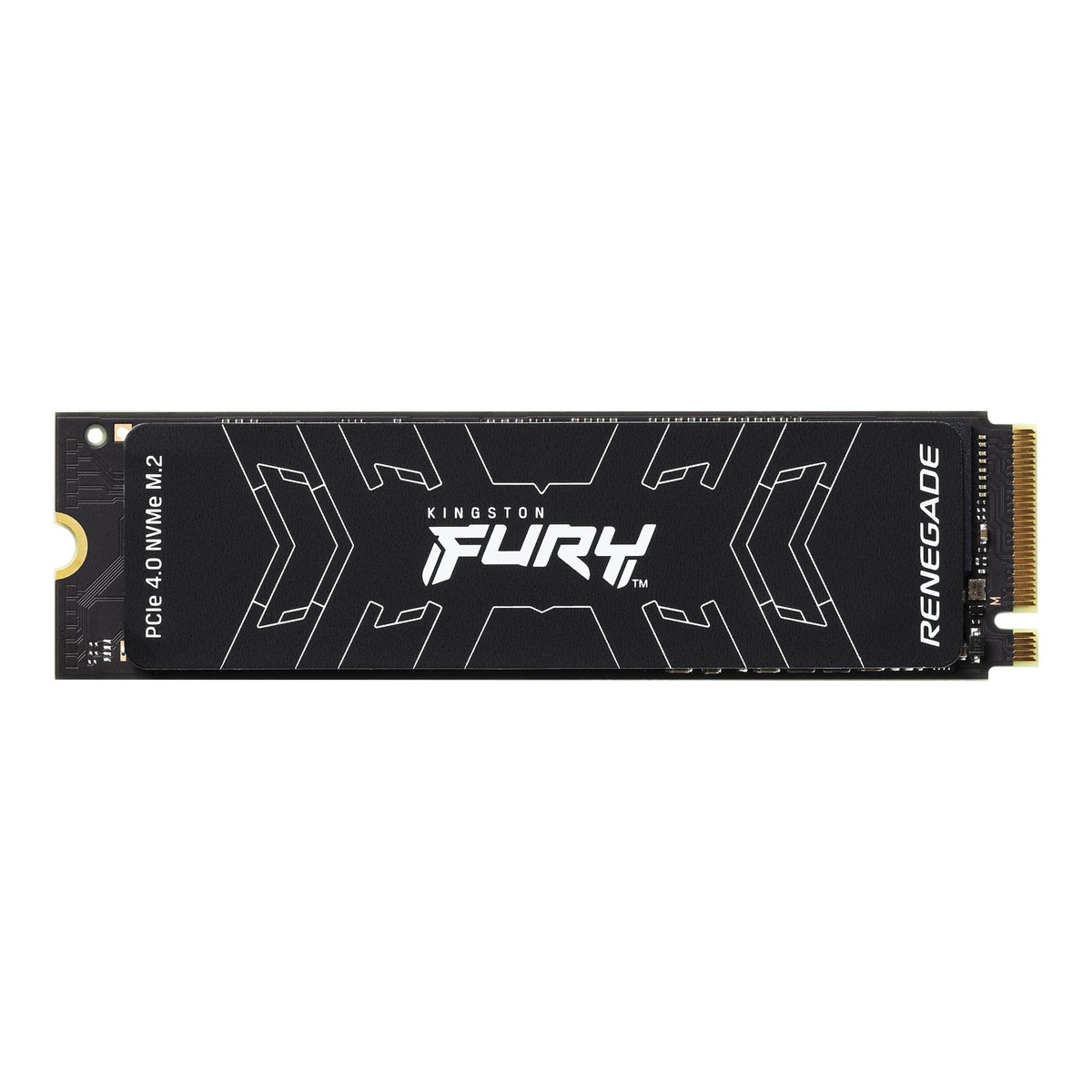 M.2 SSD disk Kingston FURY RENEGADE - 1 TB (SFYRS-1000G)