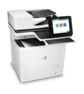 HP LaserJet Enterprise M631h Flow (J8J64A)